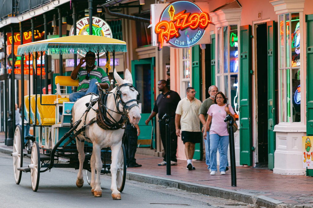 Bourbon Street Horse Carriage