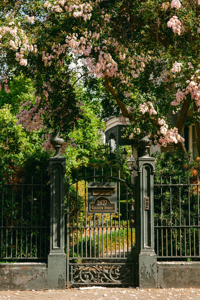 Garden District Walking Tour